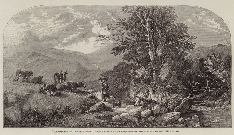 Landschaft und Vieh von John F. Tennant