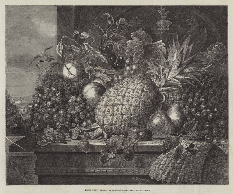 Preisfrüchte, angebaut in Blenheim von John Wykeham Archer