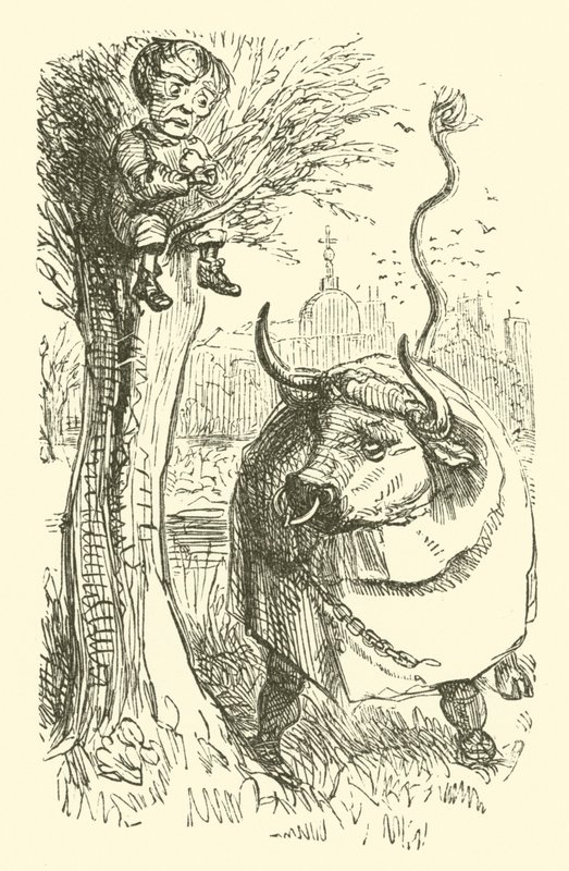 Stier und Junge (Gravur) von John (after) Leech
