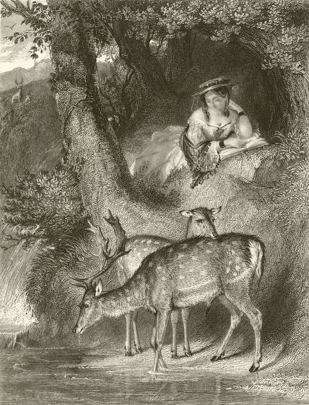 Berg-Einsamkeit von John Corbould