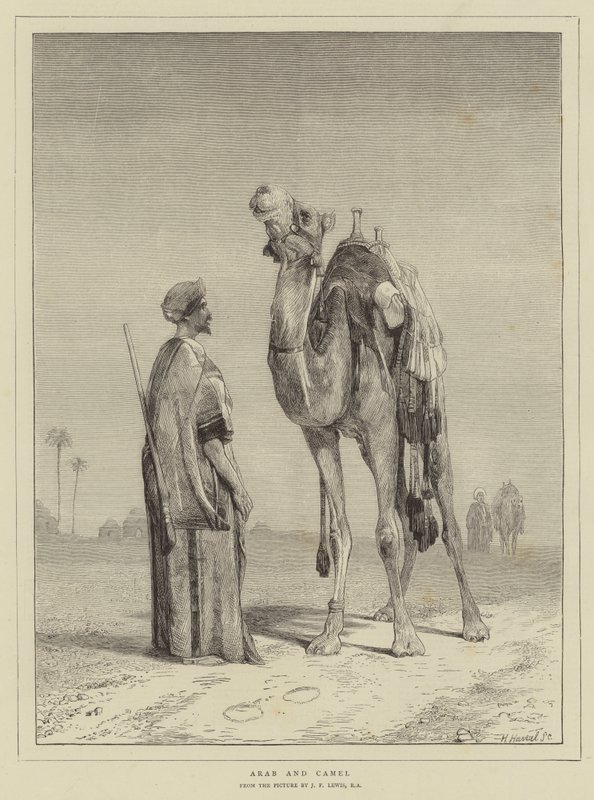 Araber und Kamel von John Frederick Lewis