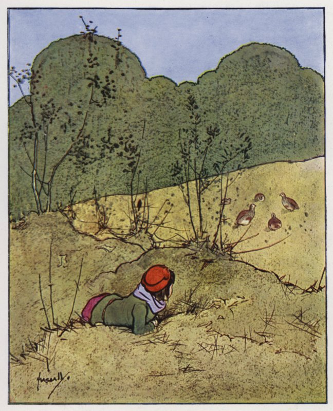 Das Rebhuhn von John Hassall