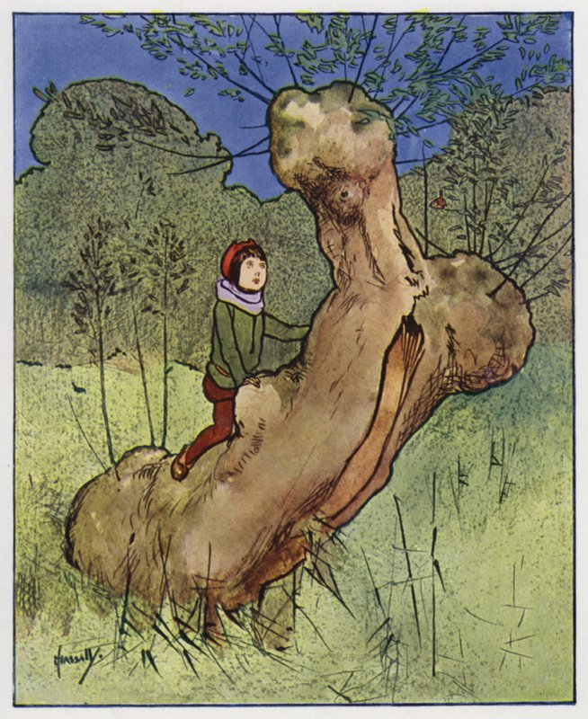 Der Zaunkönig von John Hassall