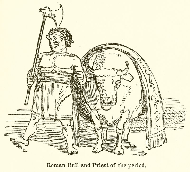 Römischer Stier und Priester der Zeit von John Leech