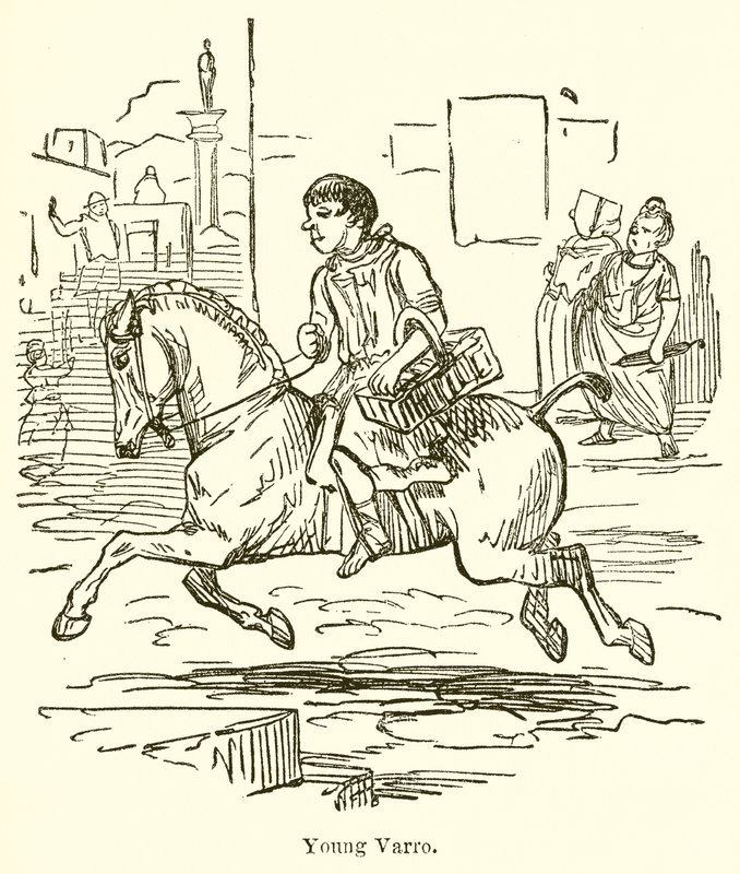Junger Varro von John Leech