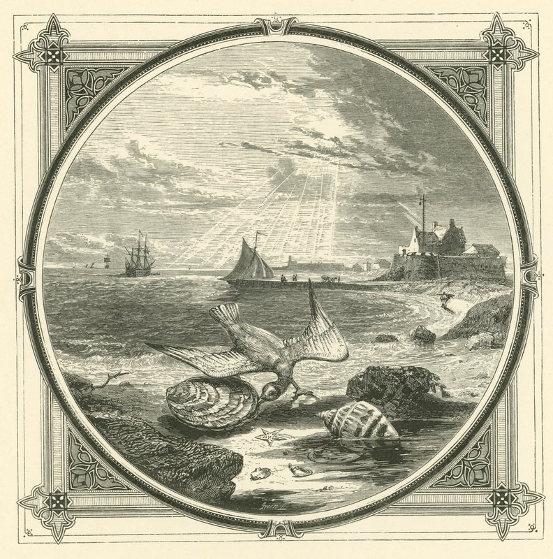 Der Gebissene beißt von John Leighton