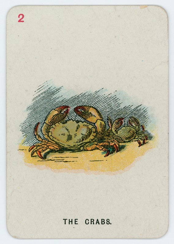 Die Krabben von John Tenniel