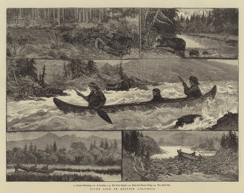 Leben am Fluss in British Columbia von Joseph Nash