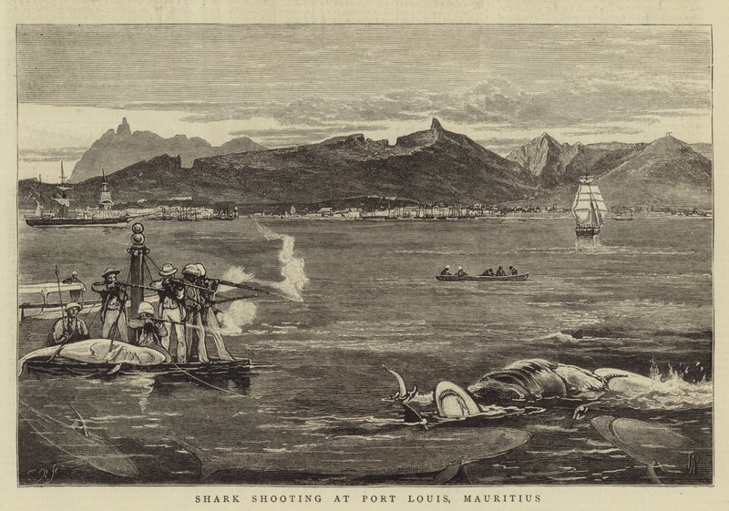Haifischjagd in Port Louis, Mauritius von Joseph Nash