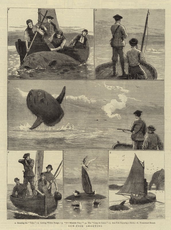 Sonnenfisch-Schießen von Joseph Nash