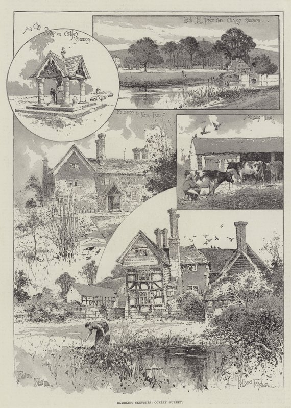 Streifskizzen, Ockley, Surrey von Joseph Holland Tringham