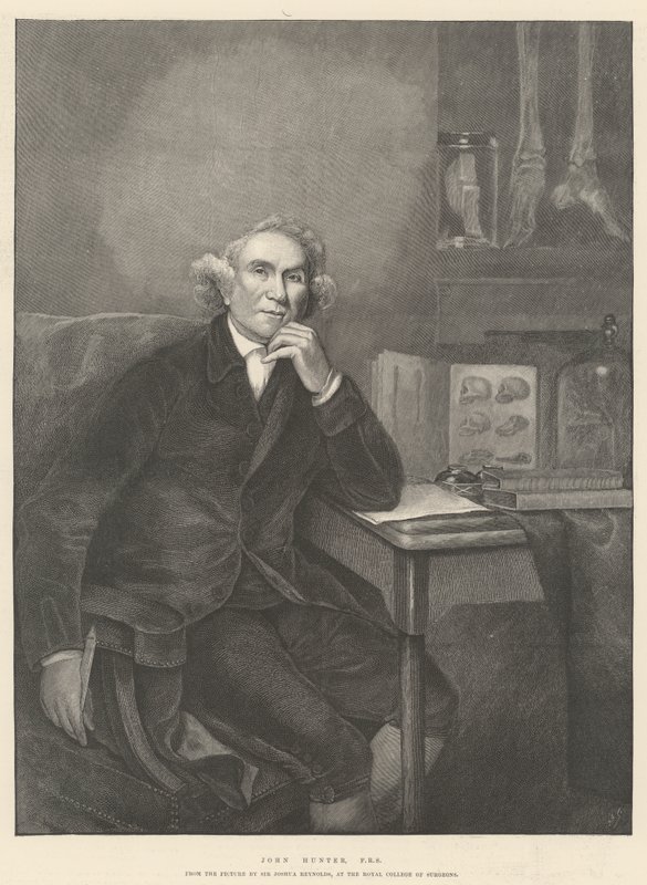 John Hunter, FRS von Joshua Reynolds