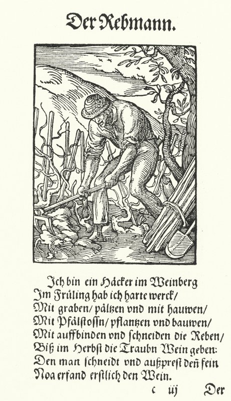 Der Winzer von Jost (after) Amman