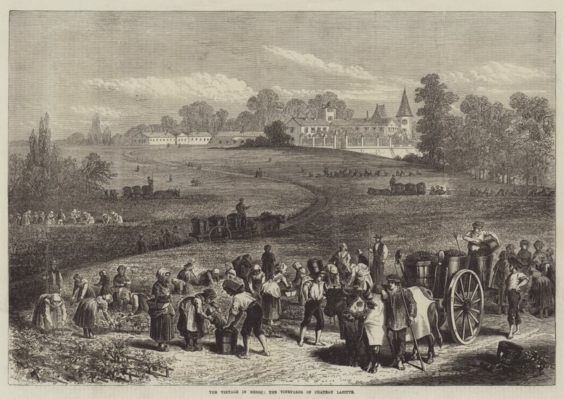 Die Weinlese im Medoc, die Weinberge von Chateau Lafitte von Jules Pelcoq