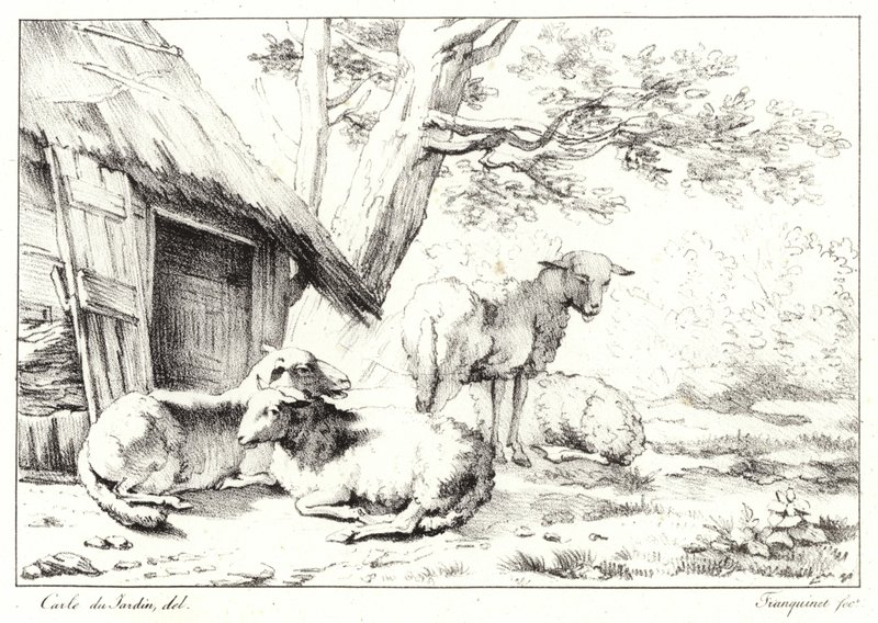 Schafe von Karel Dujardin