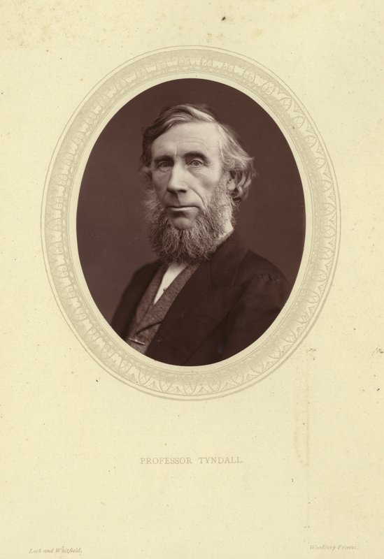 Porträt von John Tyndall von Lock and Whitfield