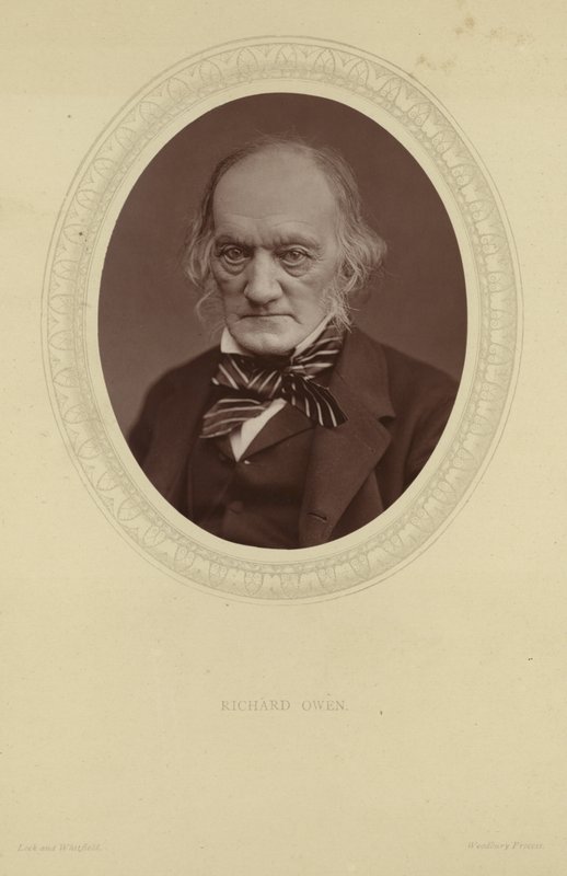 Porträt von Sir Richard Owen von Lock and Whitfield