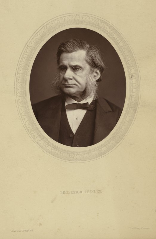 Porträt von Thomas Henry Huxley von Lock and Whitfield