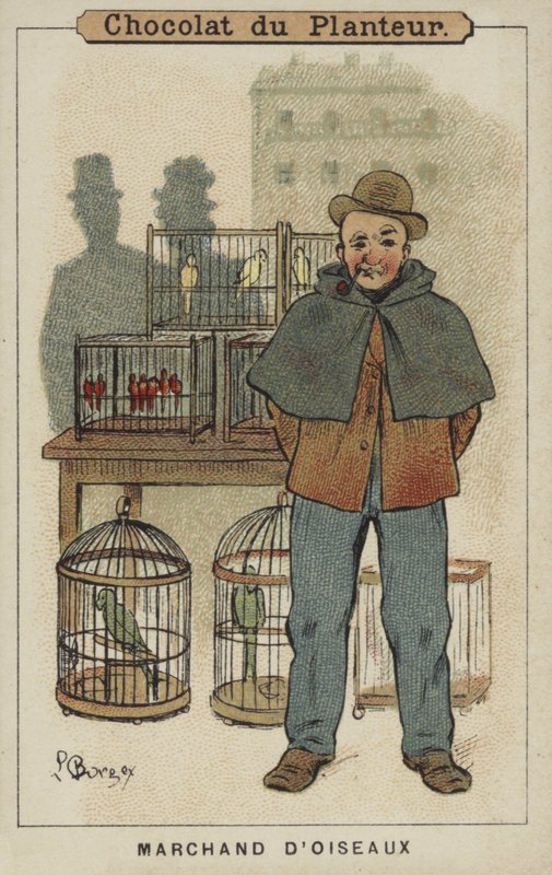Vogelhändler von Louis Borgex
