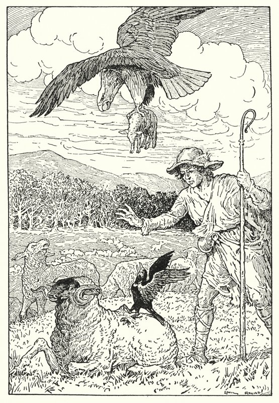 Der Adler und die Dohle von Louis John Rhead