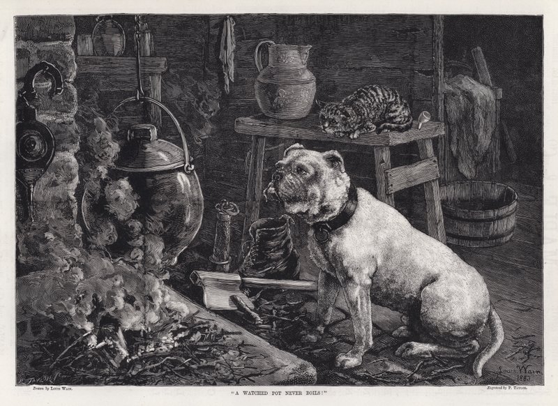 "Ein beobachteter Topf kocht nie!" von Louis Wain