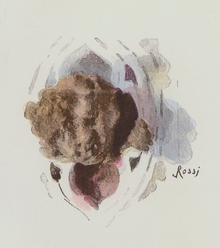 Illustration für Notre-Dame de Paris von Victor Hugo von Lucius Rossi