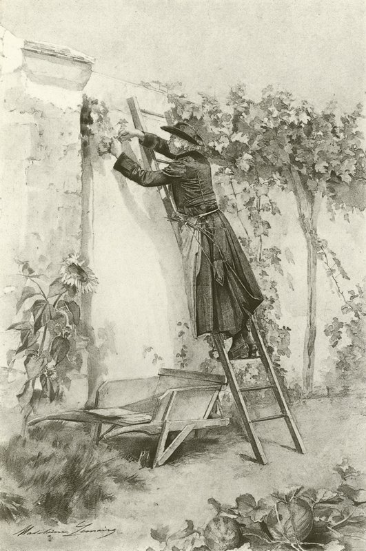 Abbe Constantin (Gravur) von Madeleine Lemaire