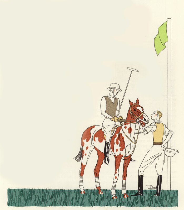 Polo von Marcel Jacques Hemjik
