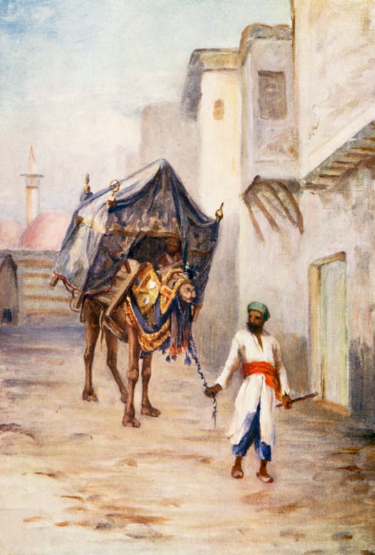 Kameltreiber von Margaret Thomas
