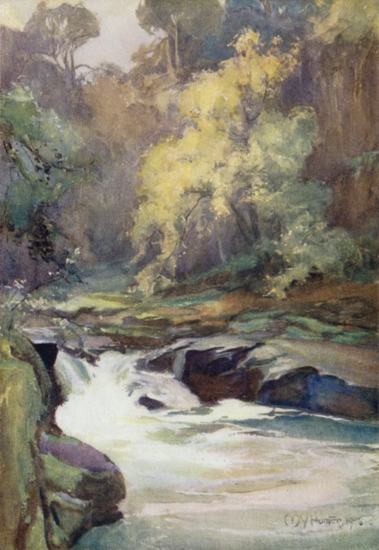 Wallace