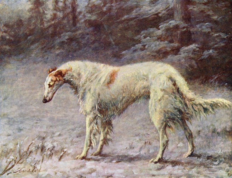 Champion Ivan Turgeneff von Maud Earl