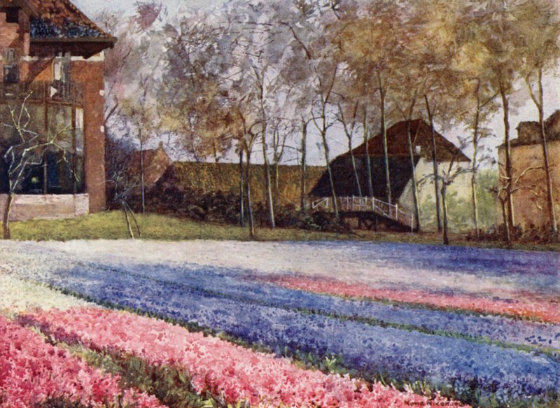 Ein niederländischer Garten im Frühling von Mima Nixon