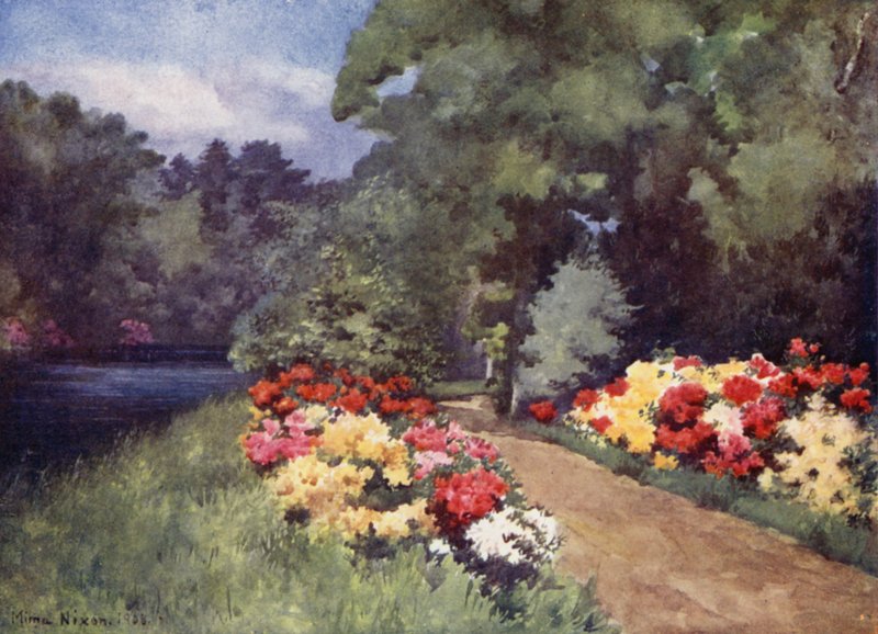 Azaleen, Het Loo von Mima Nixon