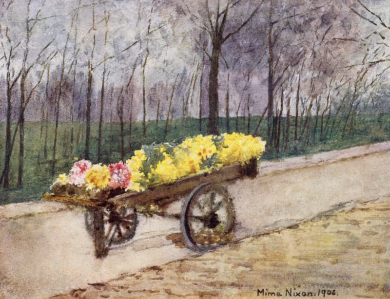 Blumenzwiebelzeit, Haarlem von Mima Nixon