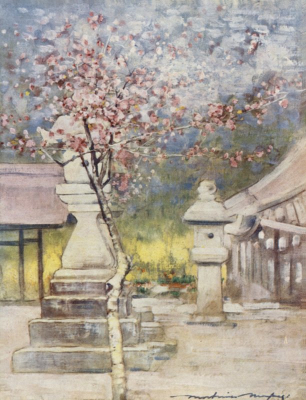 Pfirsichblüte von Mortimer Ludington Menpes