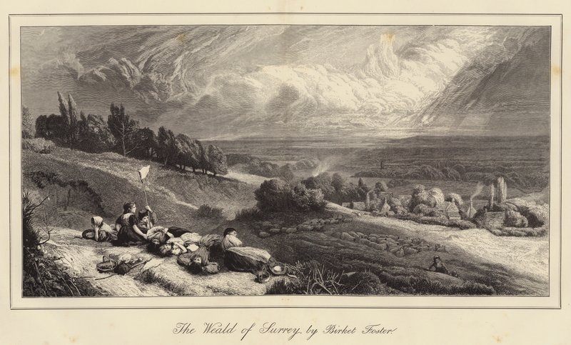 Die Weald von Surrey von Myles Birket Foster
