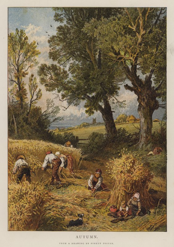 Herbst von Myles Birket (after) Foster