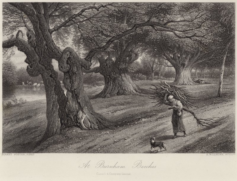 In Burnham Beeches von Myles Birket Foster