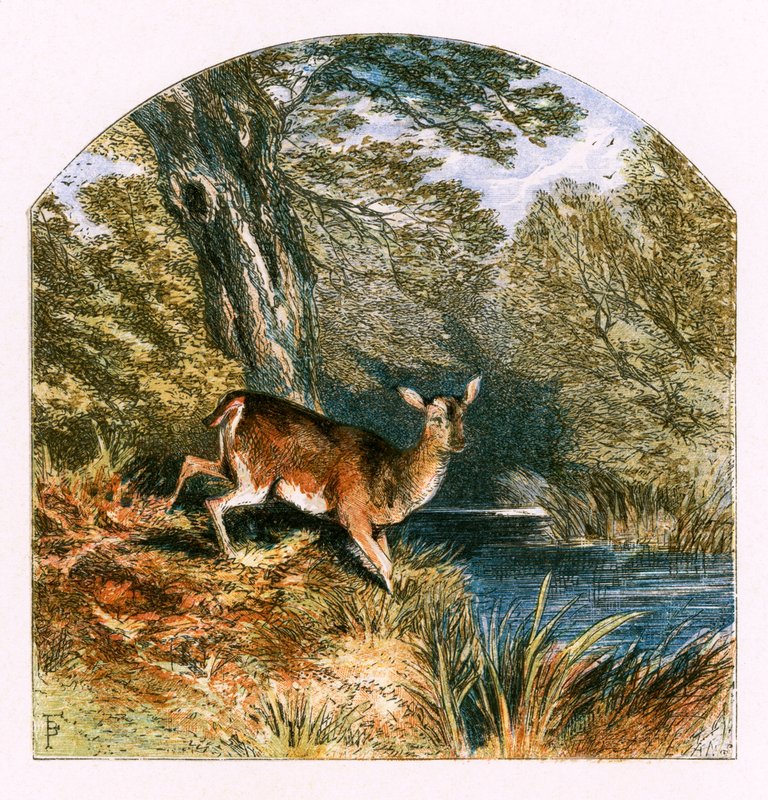 Illustration für 
