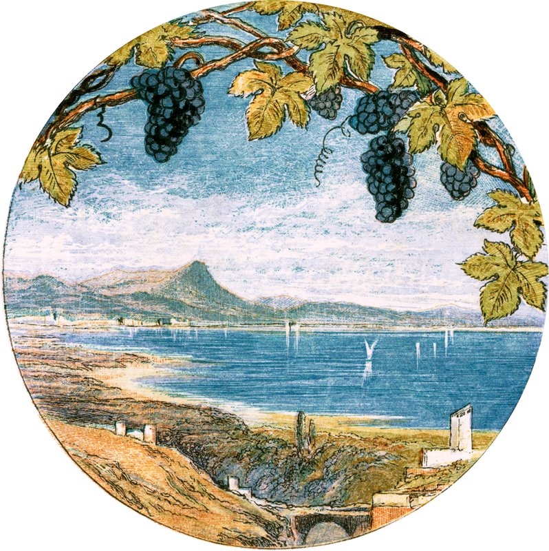 Illustration für 