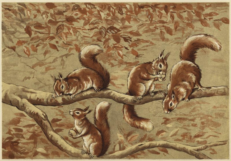 Eine Familiengruppe von N. Parker