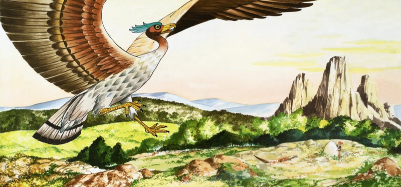 Sindbad der Seefahrer von Nadir Quinto