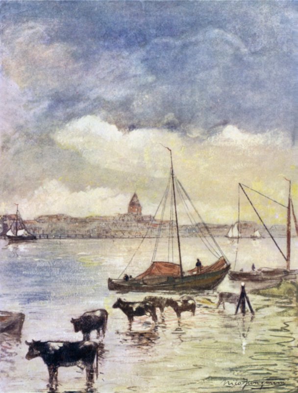Der Fluss Ysel von Nico Jungman