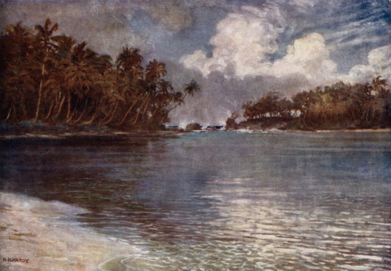 Am Riff und an der Palme von Norman Hardy