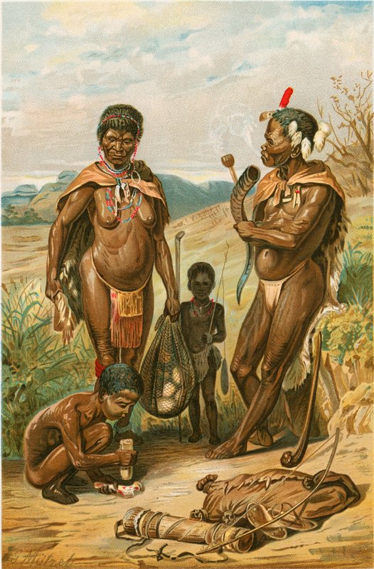 Buschmann-Familie von North American