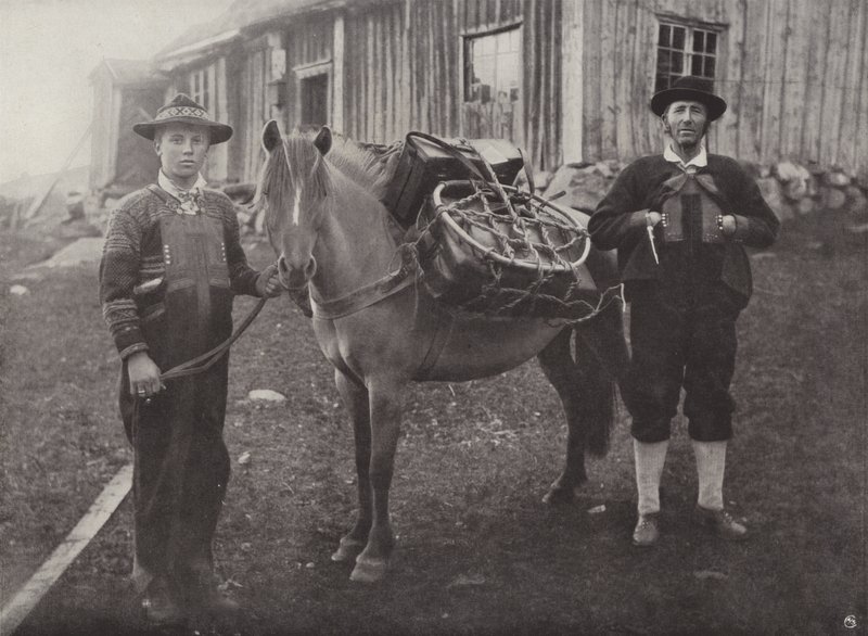 Saetersdalen Hochländer mit Packpferd von Norwegian Photographer