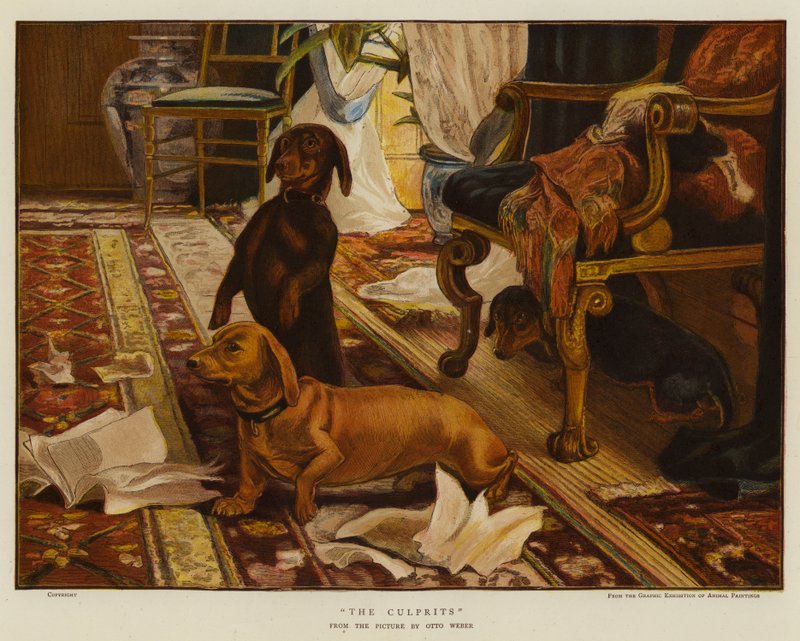 Die Schuldigen von Otto Weber