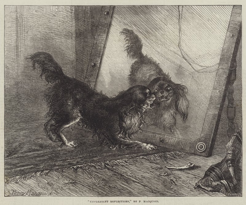 Unangenehme Reflexionen von Percy Macquoid