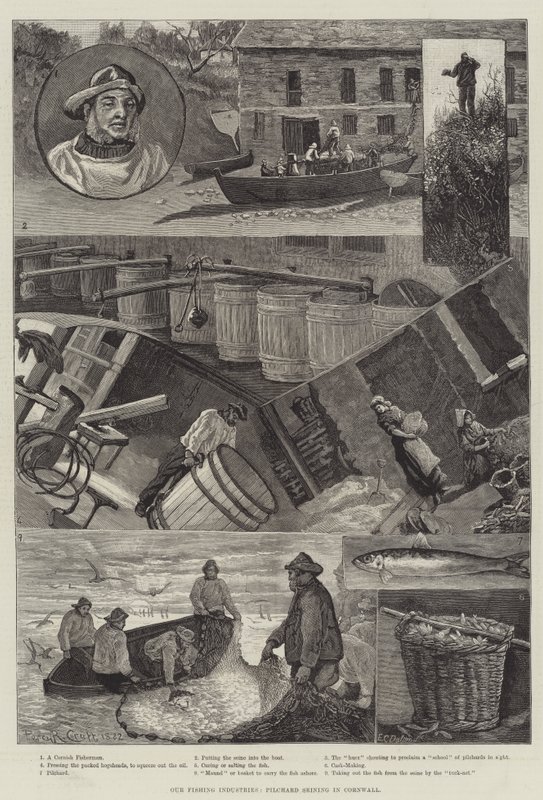 Unsere Fischereiindustrie, Pilchard-Seining in Cornwall von Percy Robert Craft