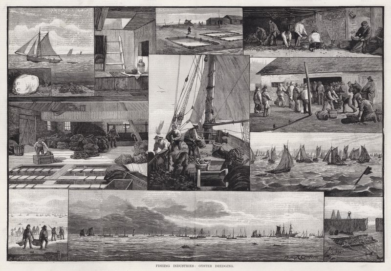 Fischereiindustrie, Austernbaggern (Gravur) von Percy Robert Craft